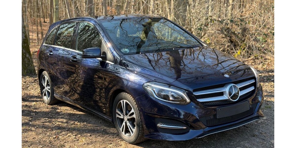 Mercedes-Benz B 200 156.650 km 13.900 &euro; Burg Stargard 17094