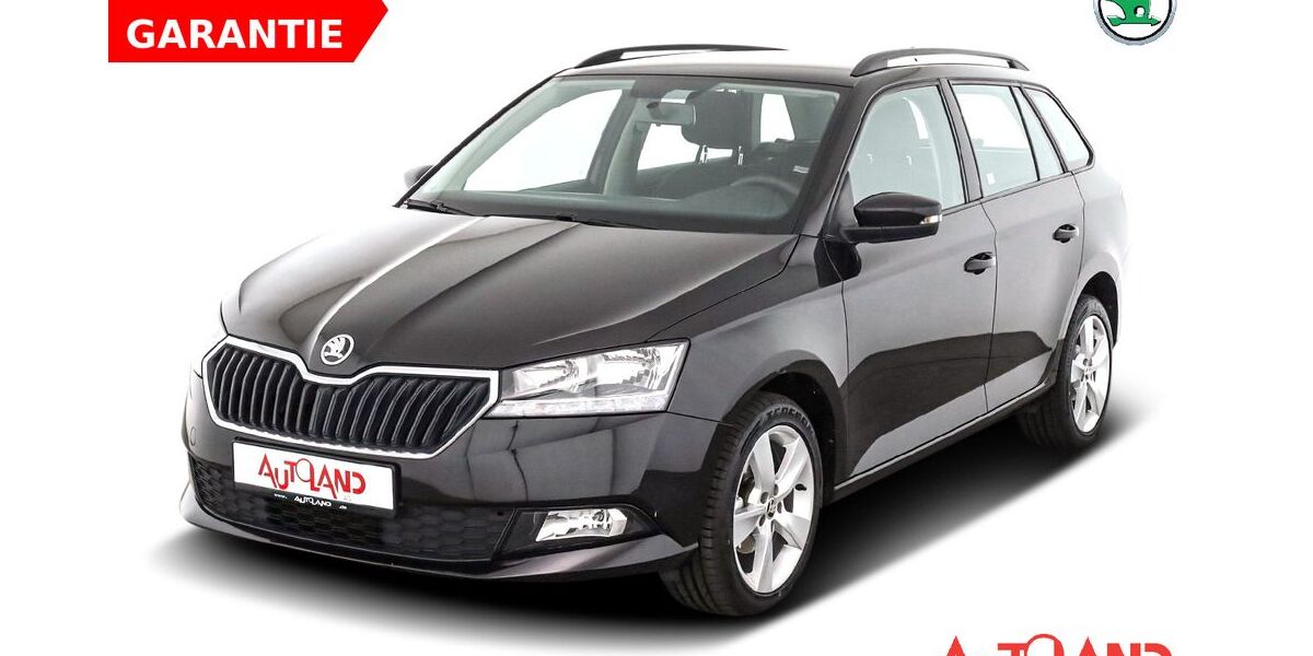 Skoda Fabia 92.480 km 13.990 &euro; Neubrandenburg 17036